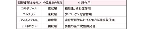 副腎皮質ホルモン｜内分泌 | 看護roo![カンゴルー]