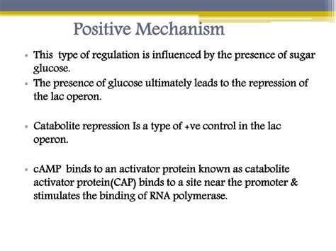 Image result for Positive Und Negative Regulation Lac Operon Chart