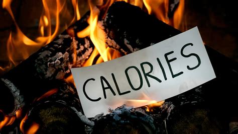 The Minimum Calories Per Day to Survive | Learn How Many Calories Do You Need to Survive ...