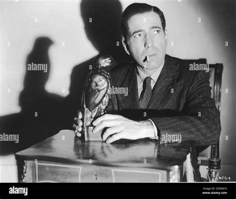 Oiseau maltais Banque d'images noir et blanc - Alamy