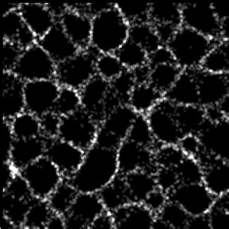 Image result for Slime Simulation JavaScript