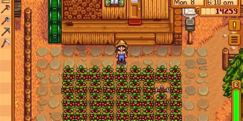 Image result for Script Design