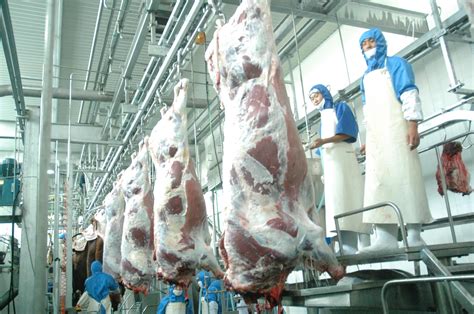理工男变牛肉专业户，一年多开店超300家，9000亿牛肉生意好做吗？_腾讯新闻