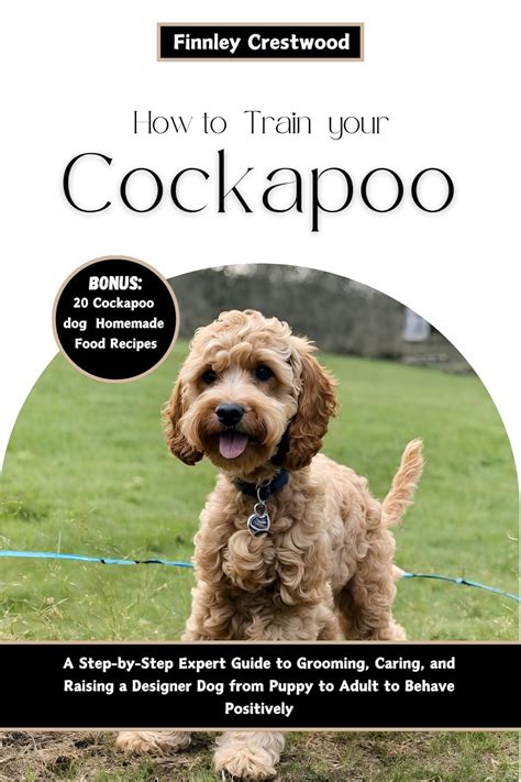 How to Train Your Cockapoo: A Step-by-Step Expert Guide to Grooming ...