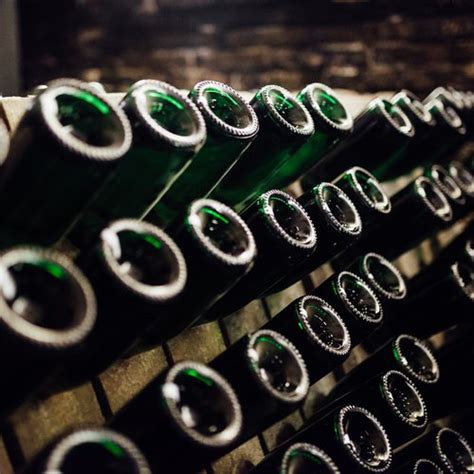 Cava Discovery Museum in Tokyo | D.O. Cava