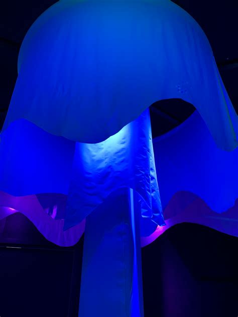 Dopamine Land: A Multisensory Experience - Washington DC - Tickets | Fever