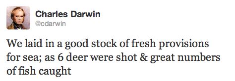 Image result for Making a Twitter Bot with Python