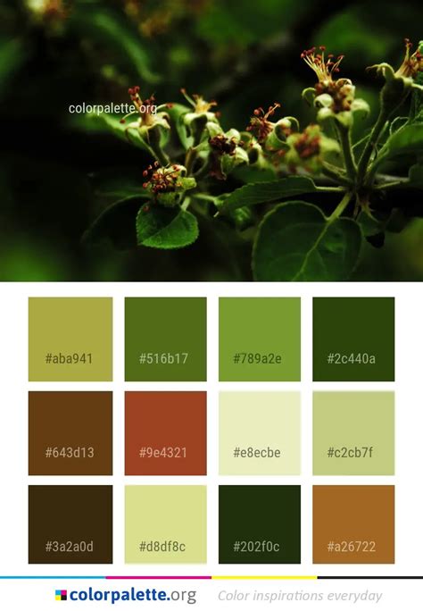 FlowerColor 的图像结果