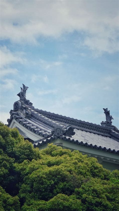 Download wallpaper 1440x2560 roof, trees, sky, clouds qhd samsung ...