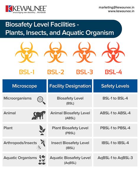 Image result for Biosafety level Types