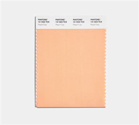 The Pantone Color of the Year 2024: Peach Fuzz | VistaPrint US