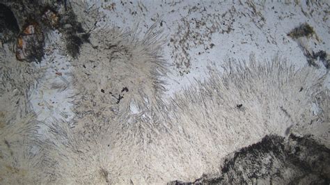 5 Amphiboles – Optical Mineralogy
