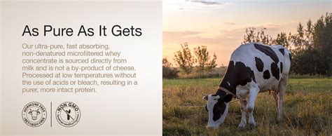 Wellbeing Nutrition Whey Protein Concentrate 1kg Unflavoured | 27g ...