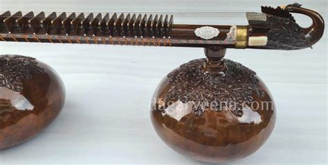 Buy Premium Quality Dagar Style Custom Made Rudra Veena-2 by Naeem ...