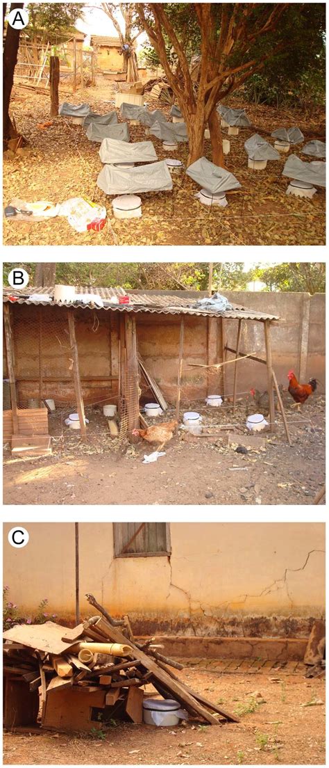 Image result for Microhabitat Examples