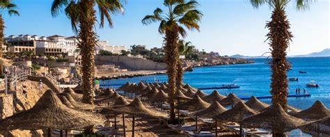 Holiday Packages, Flight Tickets and Hotels Booking - Myholidays