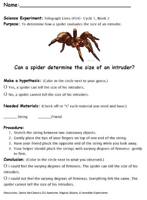 Image result for Science Lab Report On Spider