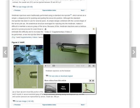 Springer Nature Experiments 的图像结果
