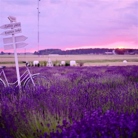 LEVANDU UKIS (2025) All You Need to Know BEFORE You Go (with Photos ...