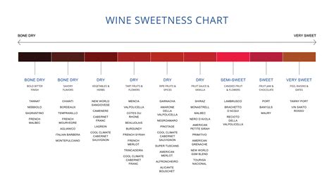 Guided by taste: An introduction to wine profiles - The Wine Flyer