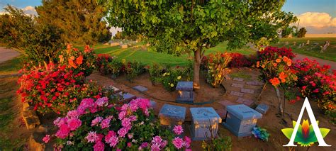 Servando Loza, born on... - Salser & Dillard Funeral Chapel | Facebook