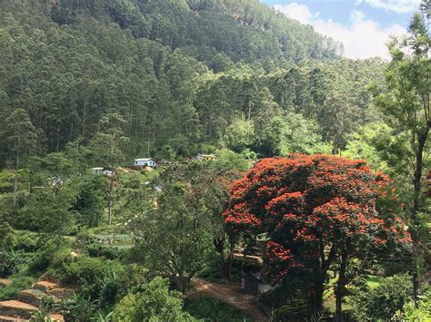 HAPUTALE MOUNTAIN TOURS (2026) All You Need to Know BEFORE You Go (with ...