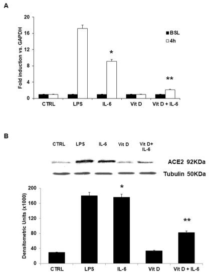 Vitamin D Inhibits IL-6 Pro-Atherothrombotic Effects in Human ...