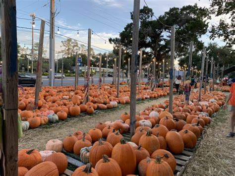 County-by-county fall events list: 2024 pumpkin patches, haunted houses ...