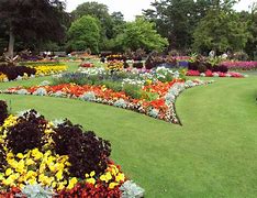 Image result for Amazing Front Yard Flower Gardens