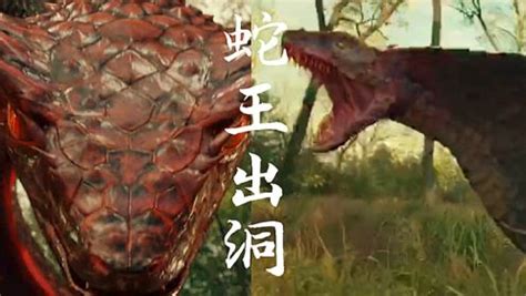 电影《蛇王2021》定档4月12日 蛇宫惊魂！暴怒蛇王疯狂反杀_中国网
