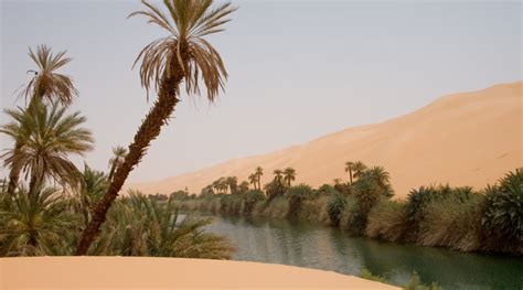 Zyriab Voyages: Le Hoggar en méharée