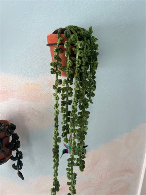 Crochet Fake Vining House Plant, Faux House Plant, Crochet Hanging ...