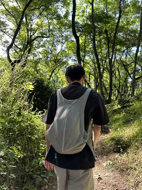 Image result for Backpack Powered Parachute