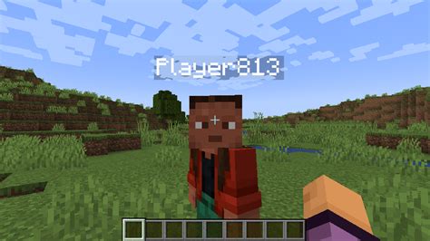 Image result for How to Turn Off Player Names in Minecraft Java