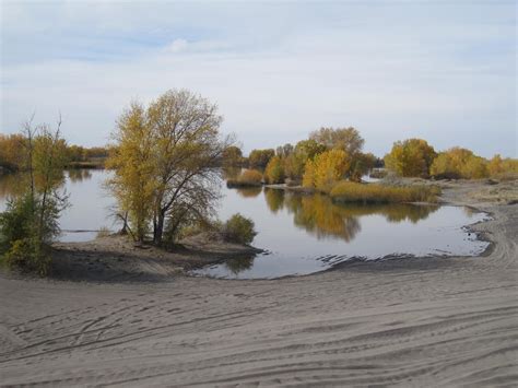 Egin Lake Campground Idaho: Reserve Your Spot Now