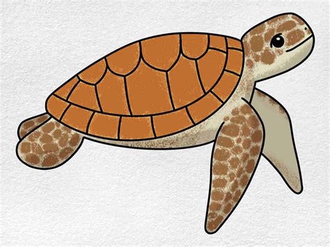 Easy Sea Turtle Drawing - HelloArtsy