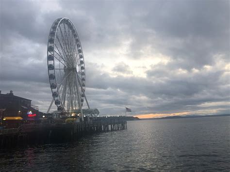 Chenois Creek Horse Ranch (Ocean Shores) - 2020 What to Know Before You ...