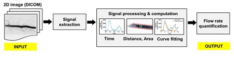 Mathematical Models for Blood Flow Quantification in Dialysis Access ...