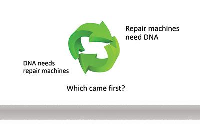 Steps to DNA Repair 的图像结果