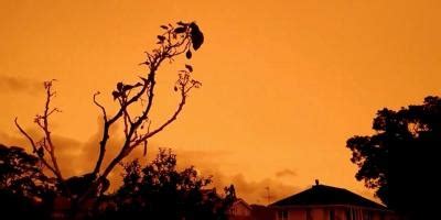 Australia's Bushfires Turn Neighbouring New Zealand's Skies Bright Orange