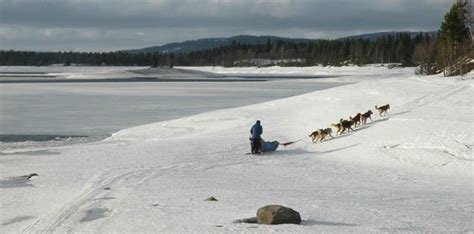 Wilderness Latitude (Vilhelmina) - 2021 What to Know Before You Go ...