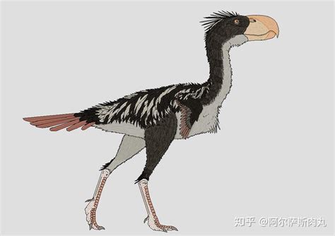 恐怖鸟Phorusrhacos 库存例证. 插画 包括有 妖怪, 种类, 双翼飞机, 恐龙, 巨型, 古生物学 - 27178114