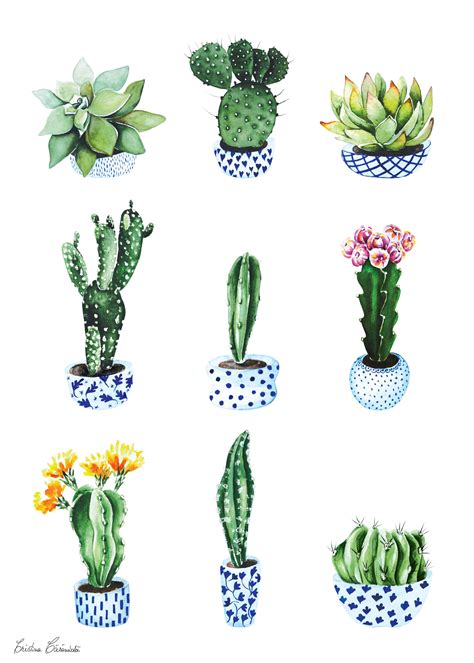 Cactus - by Cristina Caramida | Cactus drawing, Cactus art, Cactus ...
