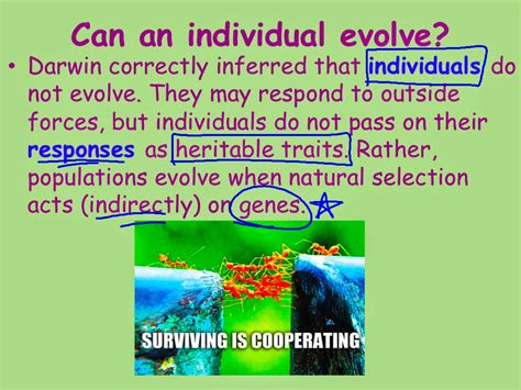 Evolution Theory 的图像结果