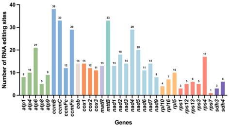 The Complete Mitochondrial Genome of the Rare Winter-Blooming Rosy Red ...