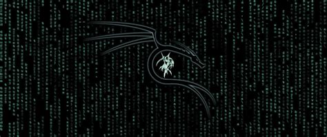 Image result for Kali Linux Background 4K