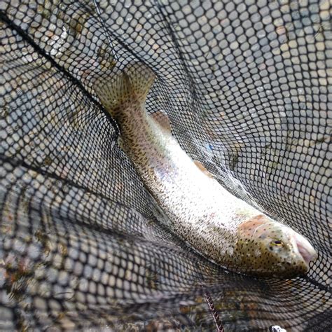 BENDIGO STATE PARK (2026) All You Need to Know BEFORE You Go (with ...