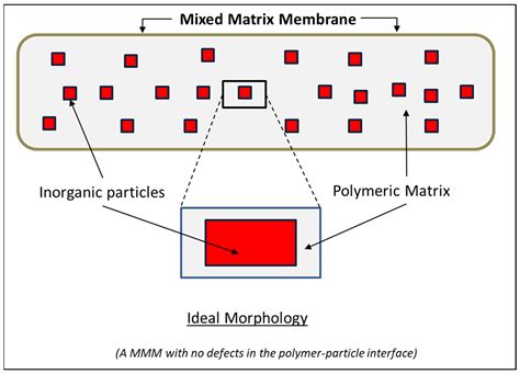 Recent Advances in Membrane-Based Biogas and Biohydrogen Upgrading