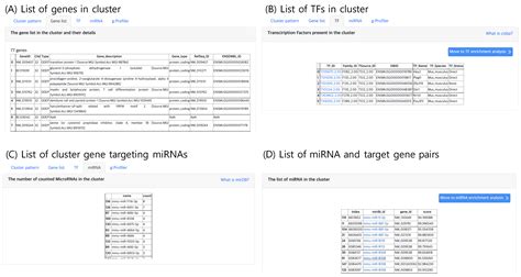 TimesVector-Web: A Web Service for Analysing Time Course Transcriptome ...