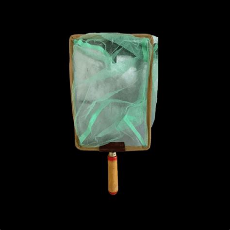 Fish Net Tutorial 的图像结果